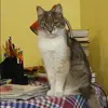 Отзыв от Диана Давыдова